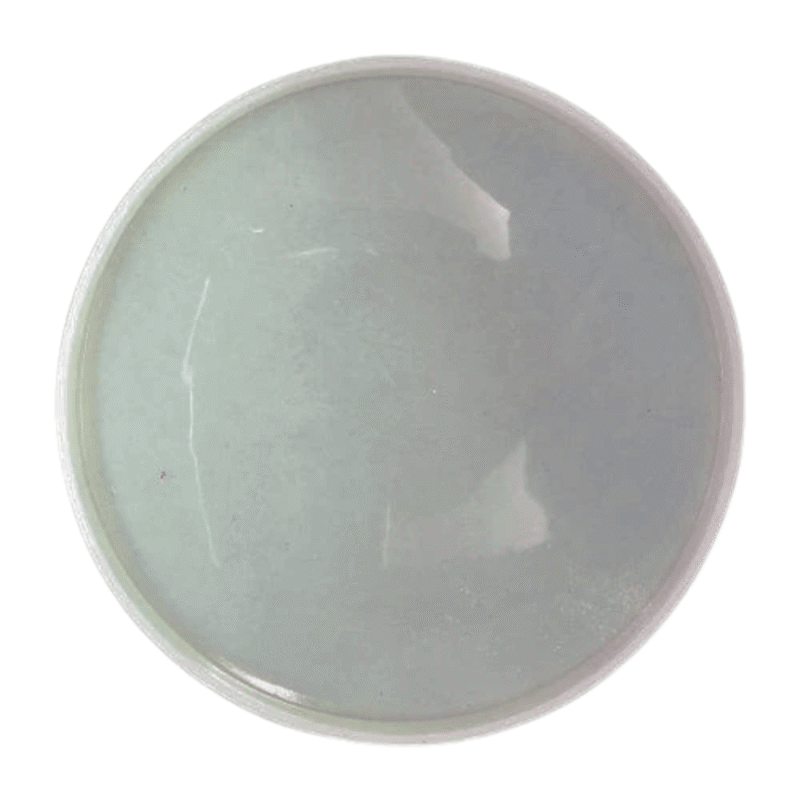 5" Round Coaster Mould