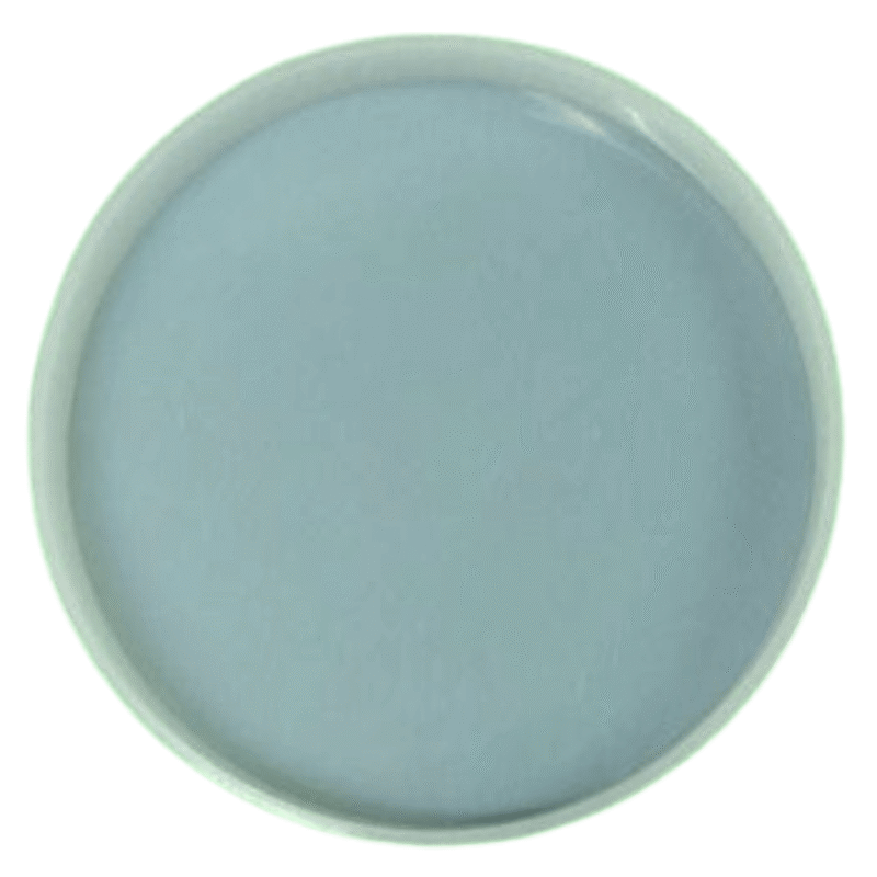 8" 15 Mm Deep Round Tray Mould