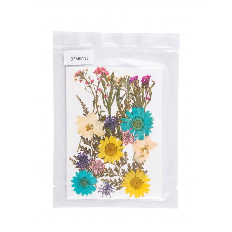 Natural Mixed Colour Pressed Flowers Pack for Resin Art & Crafts